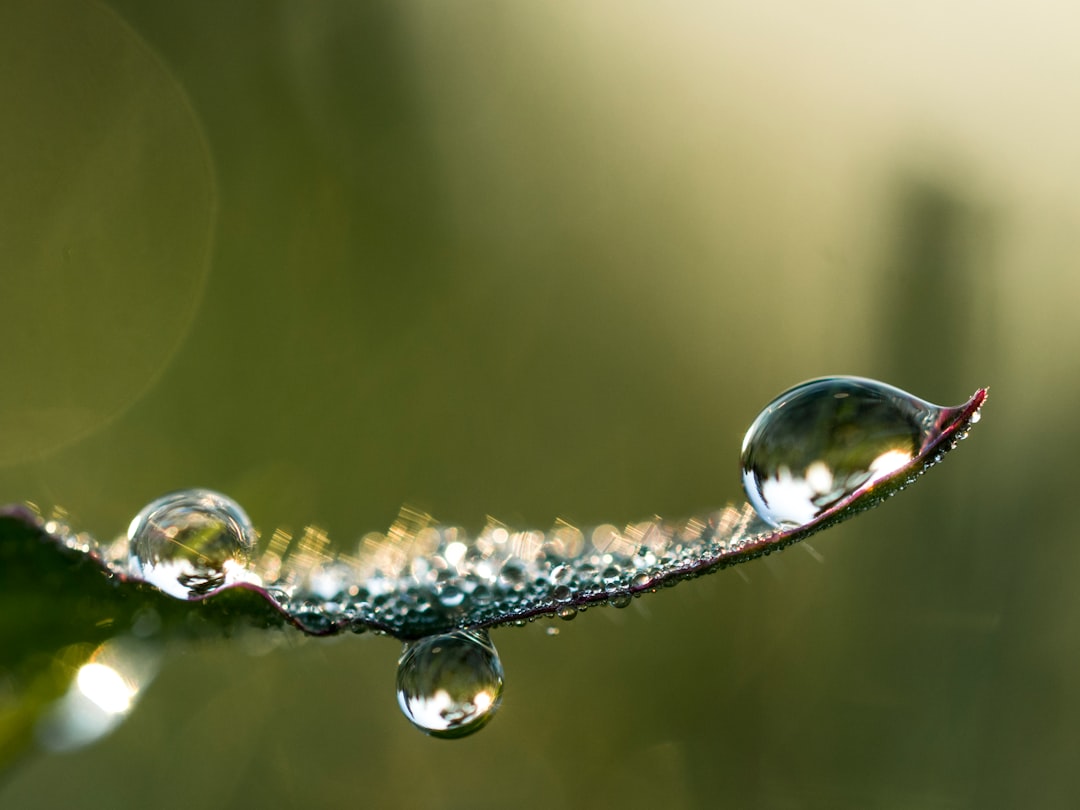 Photo Water droplets